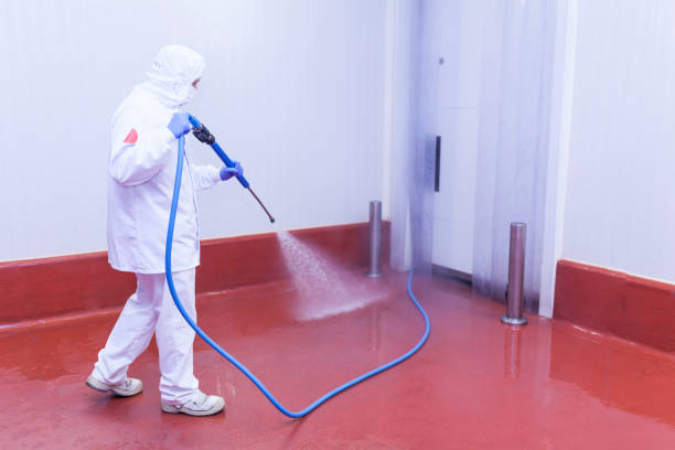 Best Patio and Deck Pressure Washing  in North Richmond, CA